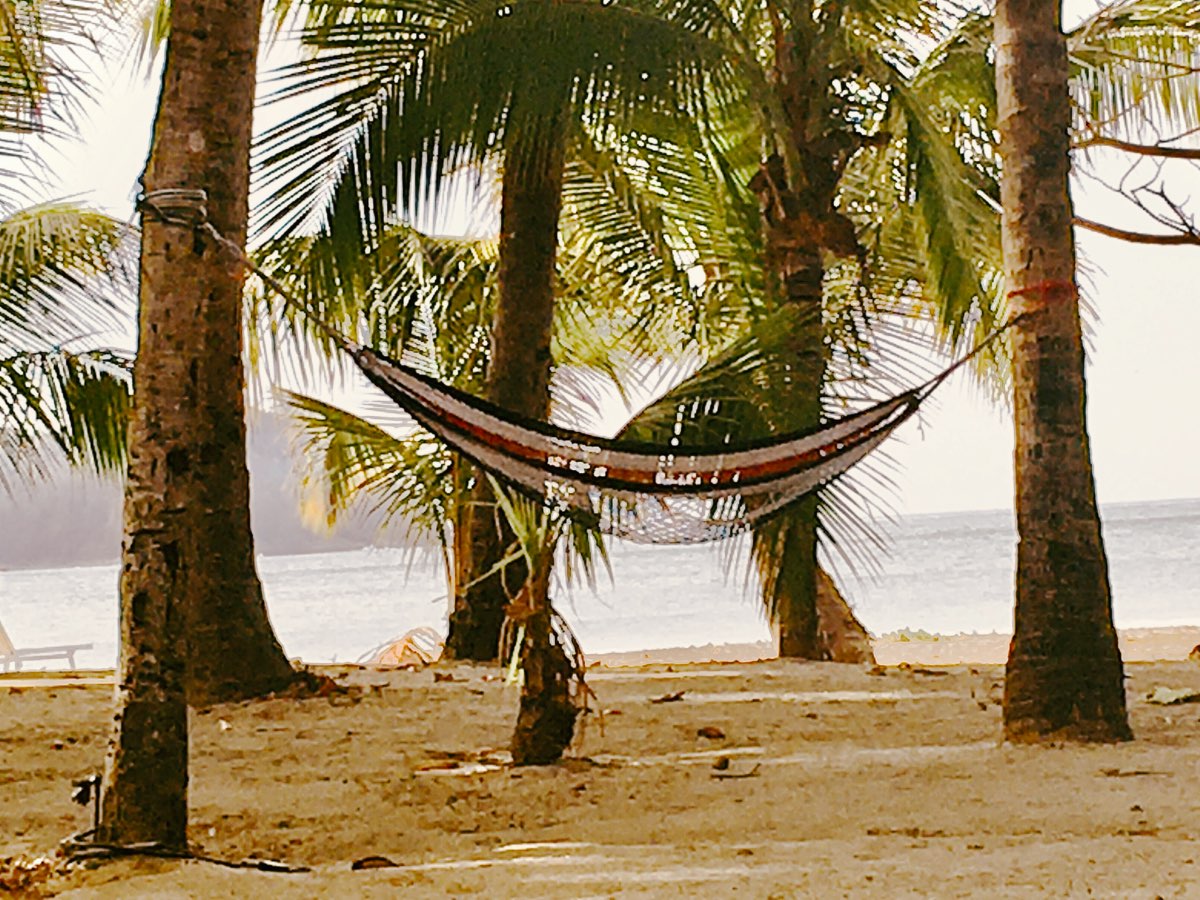 Lonely Hammock